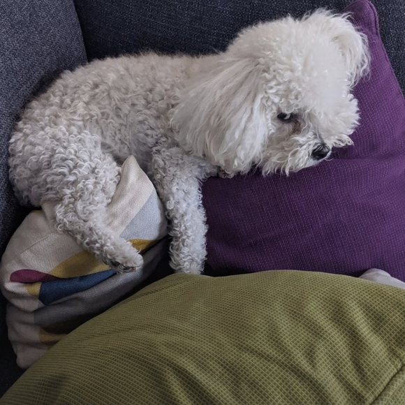 Meet your Posher, - Picture 4 of 5